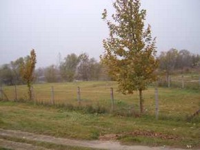 img6_006.jpg img6_006.jpg