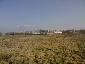 marcalto2_2.jpg marcalto2_2.jpg